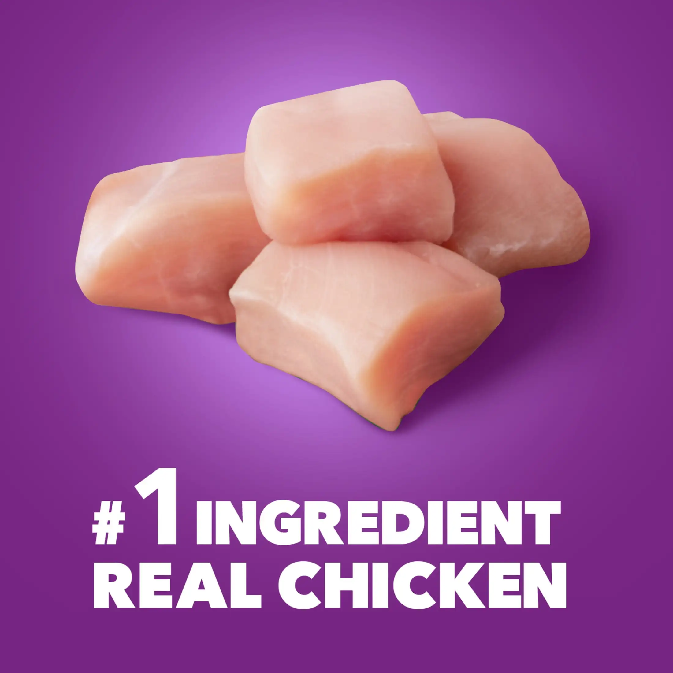 Iams Advanced Health Healthy Digestion طعام جاف للكلاب للبالغين مع دجاج حقيقي، كيس 6 رطل