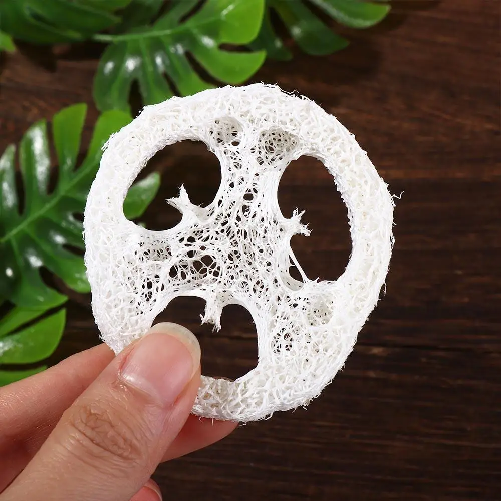 10Pcs Eco Friendly Washing Cloth Non Scratch Natural Easy To Clean Soap Saver Scrub Sponge Scrubber Scouring Pad