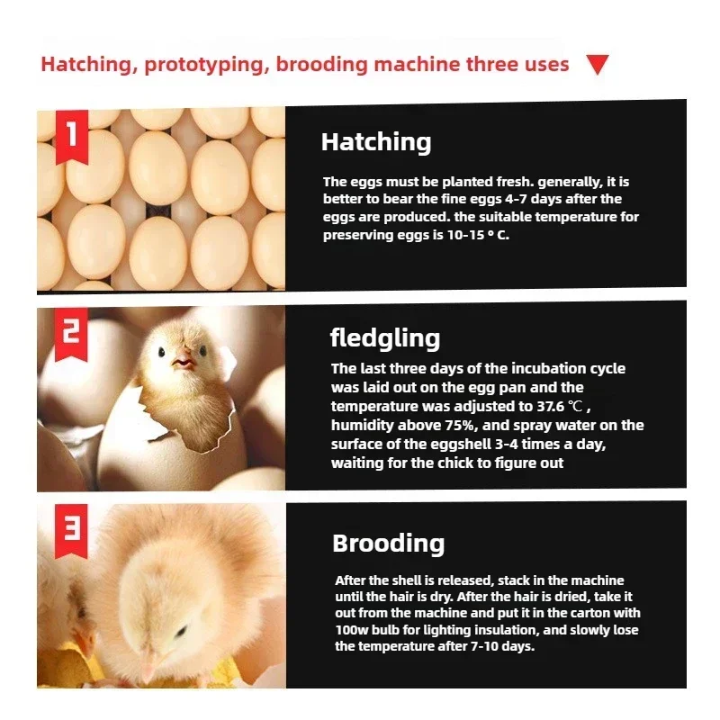 Thumbnail 4 - #24 Compare Automatic Livestock Feeders Before You Buy