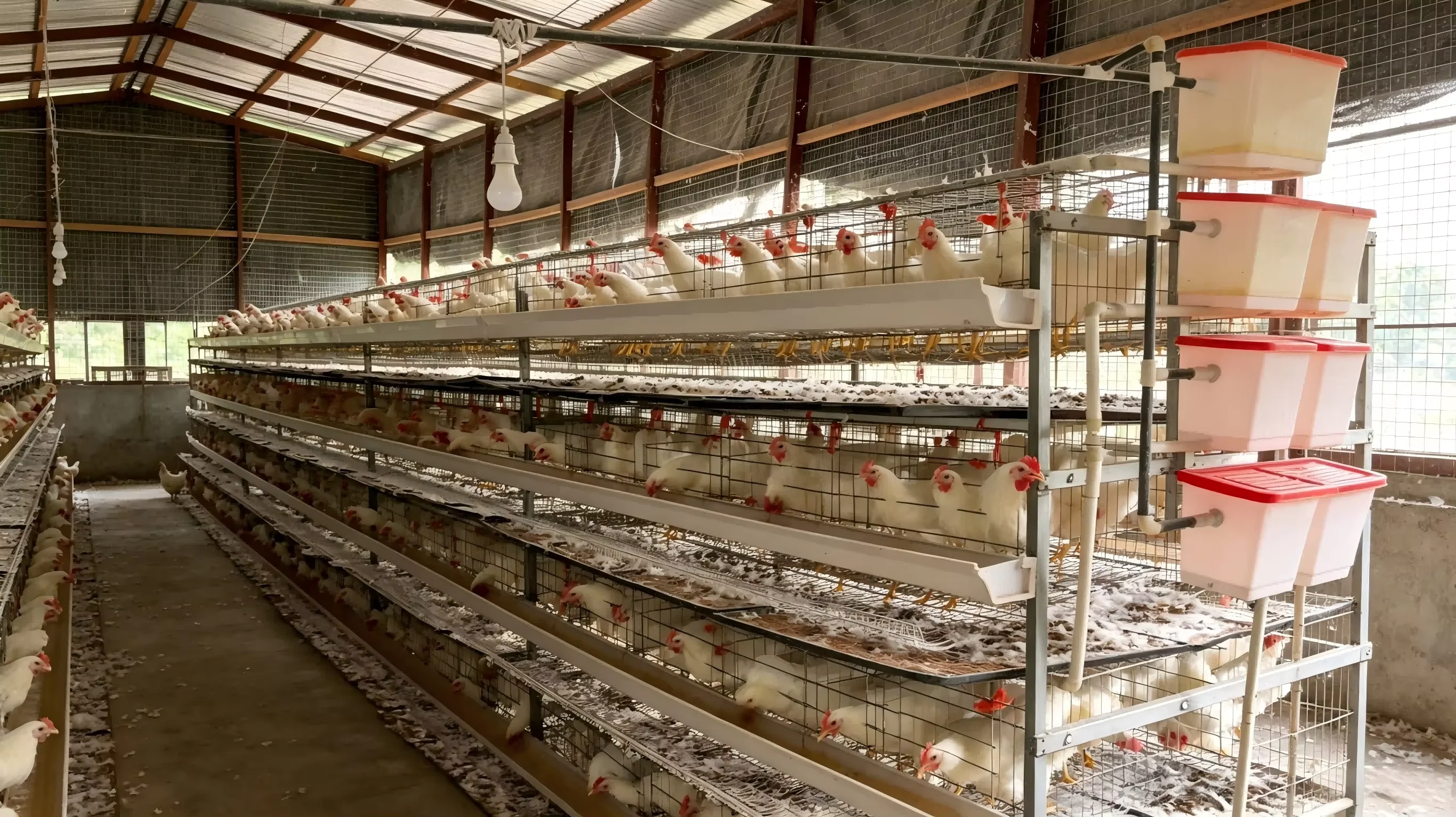 H Type Laying Hen Stacked Cage Small Layer Design with Automatic Manure Cleaning Long Service Life Poultry Housing Equipment
