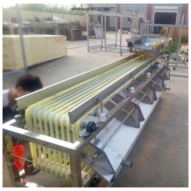 Stainless Steel Fruit Size Sorter Automatic Cherry Tomato Grading Sorting Machine