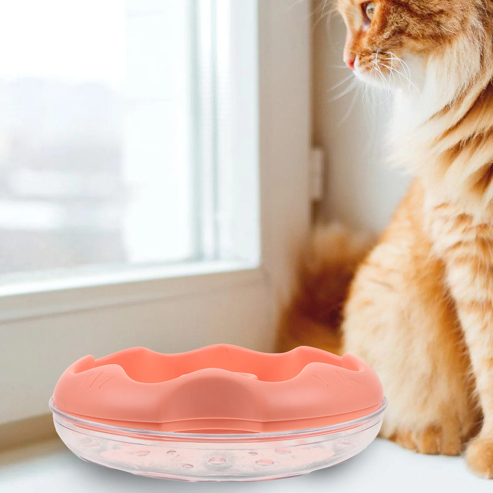 

Cat Grass Planter Double Layer Hydroponic Soilless Growing Box Plastic Material Practical Cat Plant Pot for Home