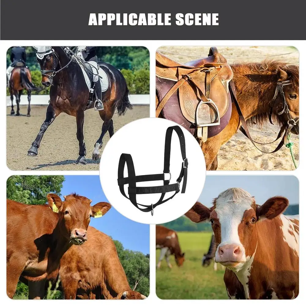 Calf Halter Calf Halter and Lead Rope Heavy-Duty Adjustable Nylon Livestock Training Equipment for Handling Showing Animals