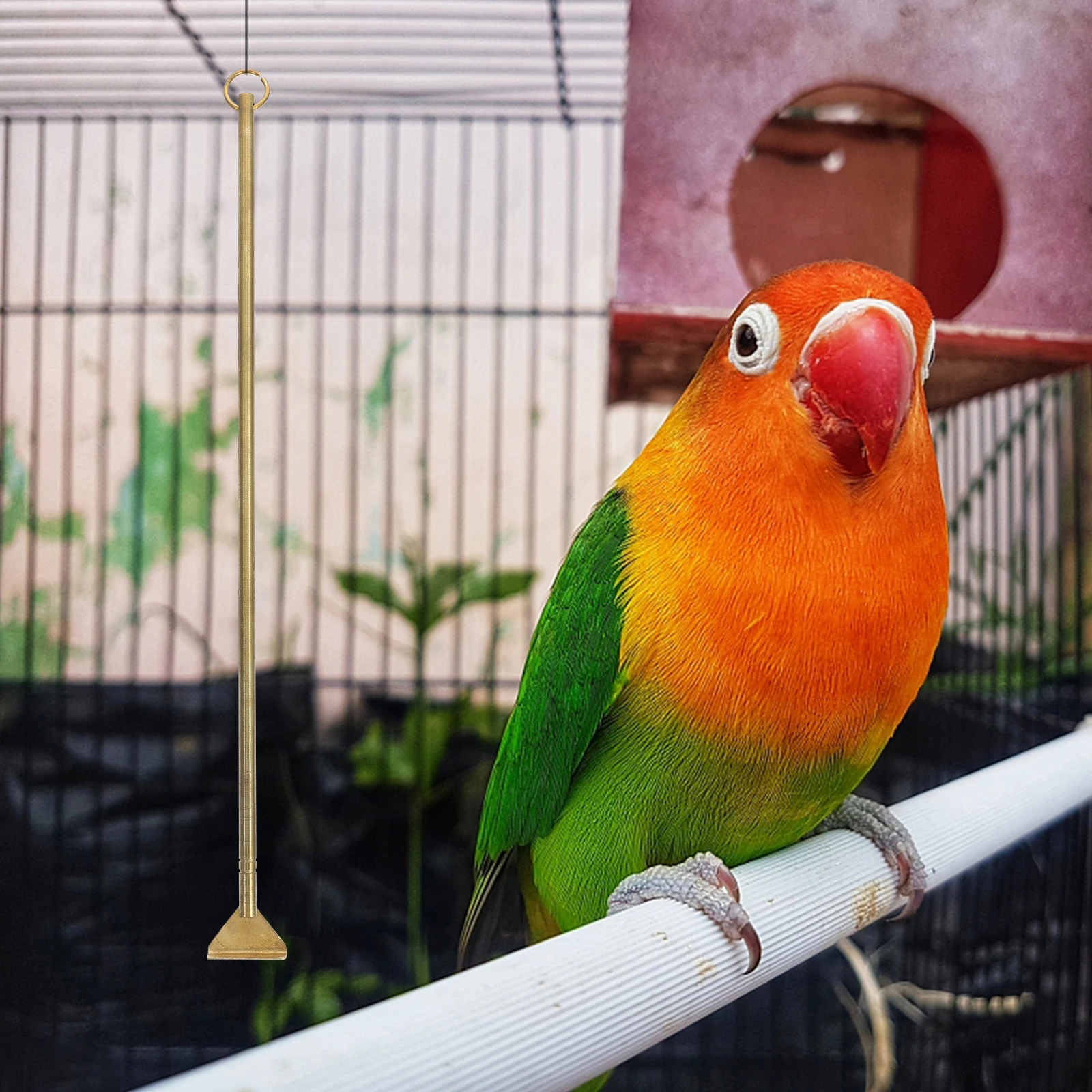 

Long Handle Bird Poop Remover Small Animals Cage Cleaner Metal Pet Poop Cleaning Tool Brass Material Durable Sturdy Household