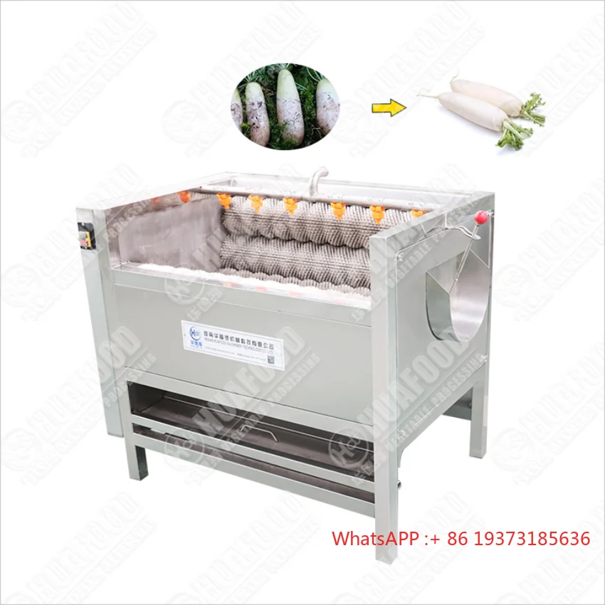 

New Design Automatic Potato Washing Machine Potato Use Brush Cleaning Peeling With Great Price