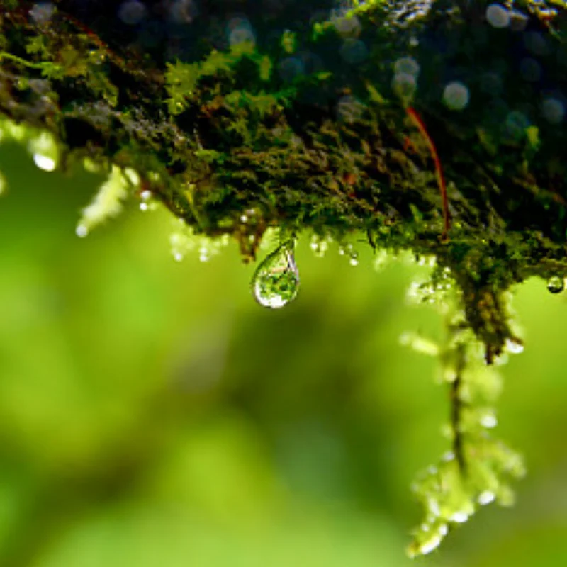 

4 шт., инструменты для ремонта радиоуправляемой модели автомобиля, твердые легированные стальные металлические шестигранные отвертки, инструменты 1,5/2,0/2,5/3,0 мм для радиоуправляемых моделей автомобилей, самолетов, лодок