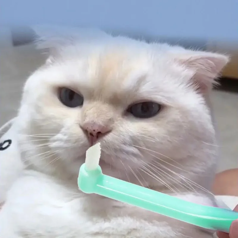 Cat Toothbrush Oral Care Pet Toothbrushes Small Heads Teeth Brush for Cats Mouth Cleaning Soft Hair Cat Toothbrush Pet Supplies