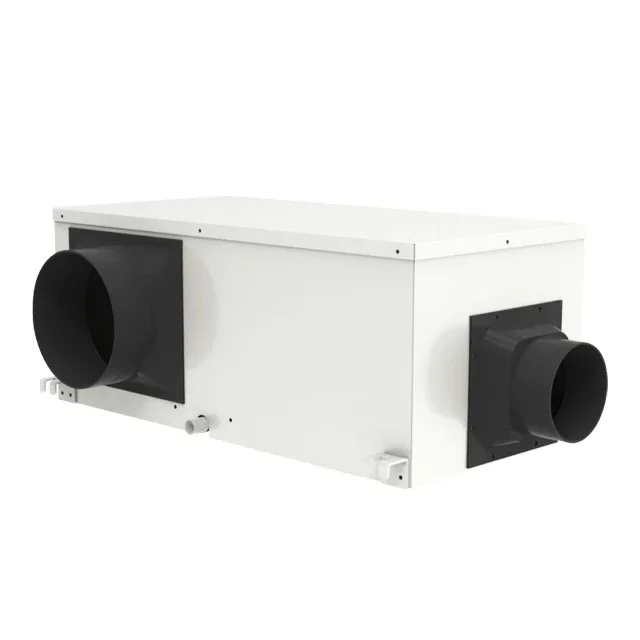Custom Printed Wall Mounted Quiet Design Fresh Air Control Style Optional Dehumidifier