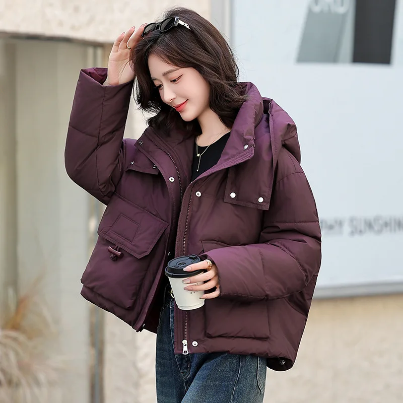 Nouveau modèle manteau rembourré en coton pour femmes routine de style court nouveau Style chinois hiver épaissir grande taille fermeture éclair à capuche Vintage