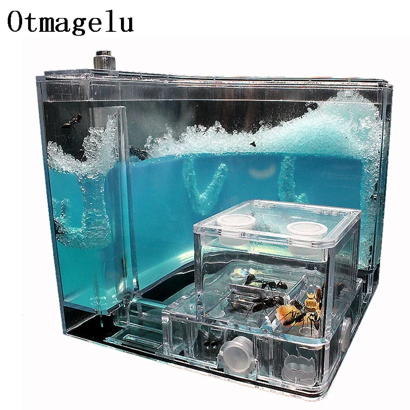 Château de maison de fourmis, Terrarium à insectes Transparent, Cage pour fourmis, boîte d'observation d'insectes, modèle éducatif pour pépinière, jouet écologique