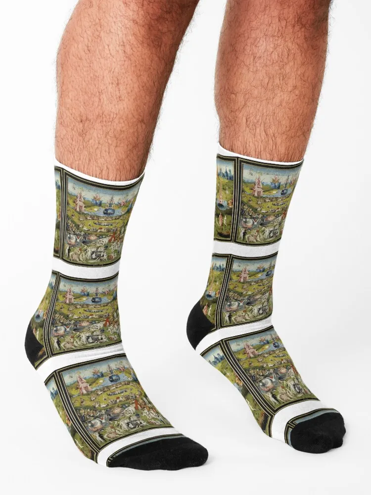 Hieronymus Bosch The Garden of Earthly Delights painting triptych Socks cool summer japanese fashion Socks Women's Men's