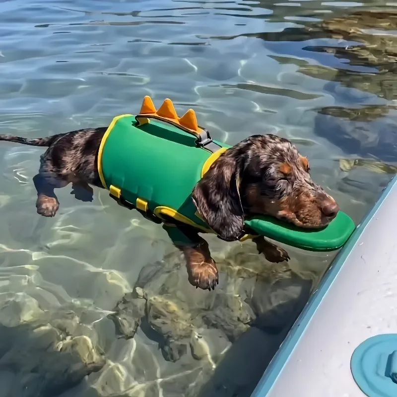 #6 Latest Dog Life Jackets Offers