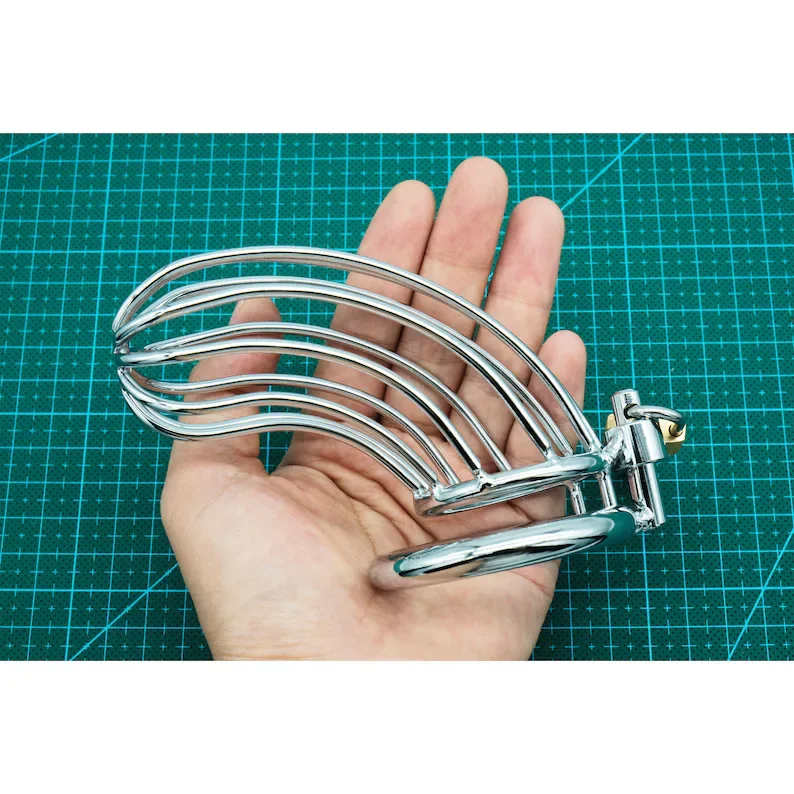 Stainless Steel Metal Cock Cage with Lock for Male/Men Chastity Device/Chastitycage/Penis Lock/Penis Cage/Dick Cage/Bondage Men