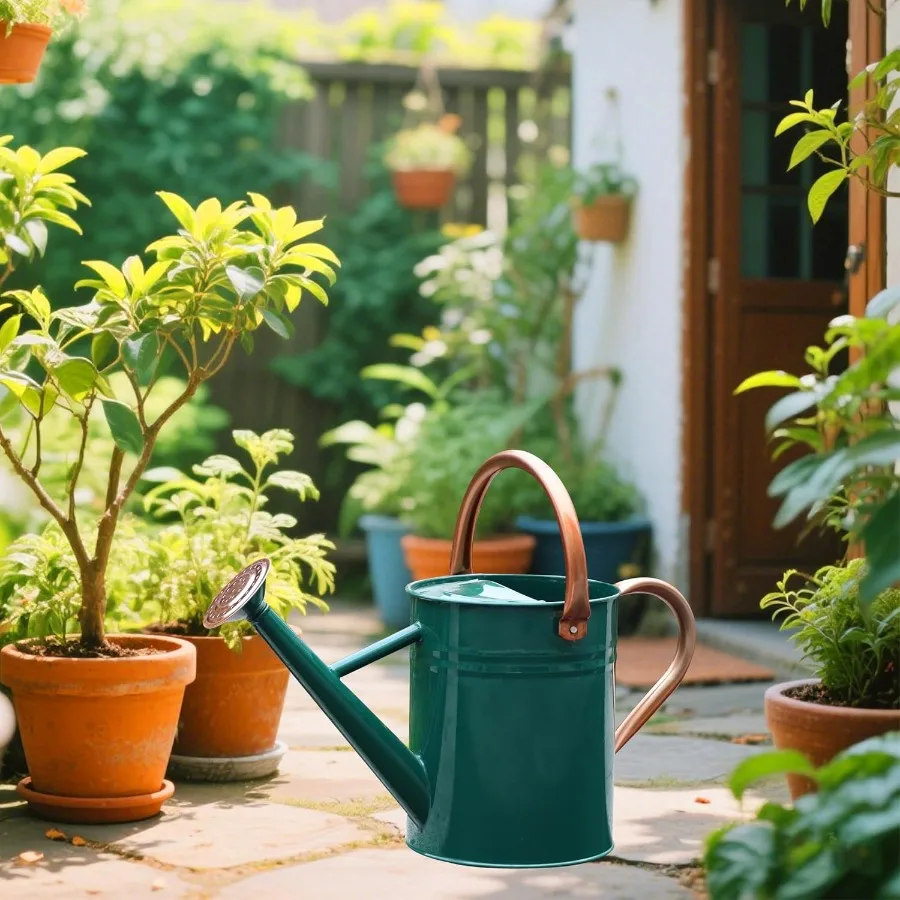 علبة سقاية معدنية للنباتات الخارجية والداخلية ديكور 1 جالون تصميم متين وأنيق لسيارة نباتية فعالة #6
