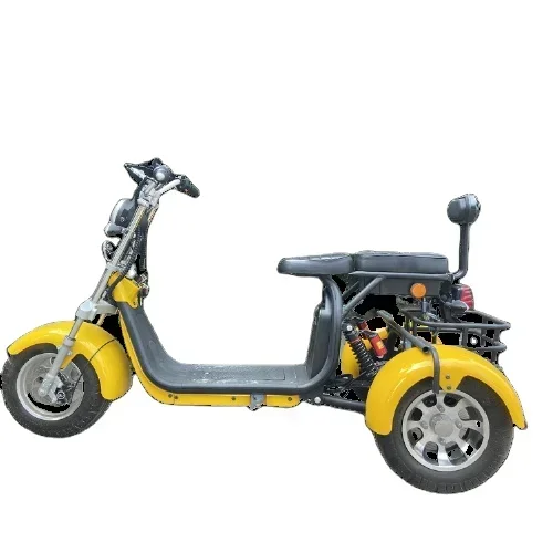 

Customize electric tricycle 1000w differiential motor 3 wheel trike ce for adult passenger and cargo carrier