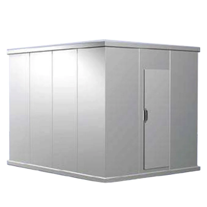 Quick Installation Good Quality Environmentally Cold Room Long Service Life Cold Storge Container for Fruit Preservation