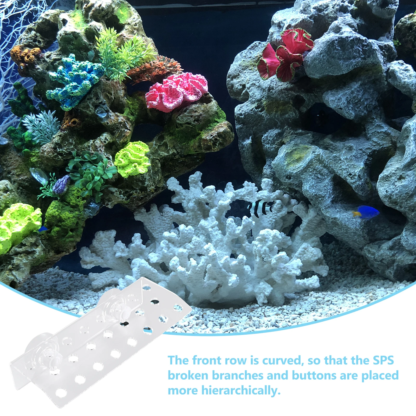 

23 Plug Broken Limb Support Racks Acrylic Acrylic Coral Rack for Reef Tank Aquarium Suction Cups Promote Growth