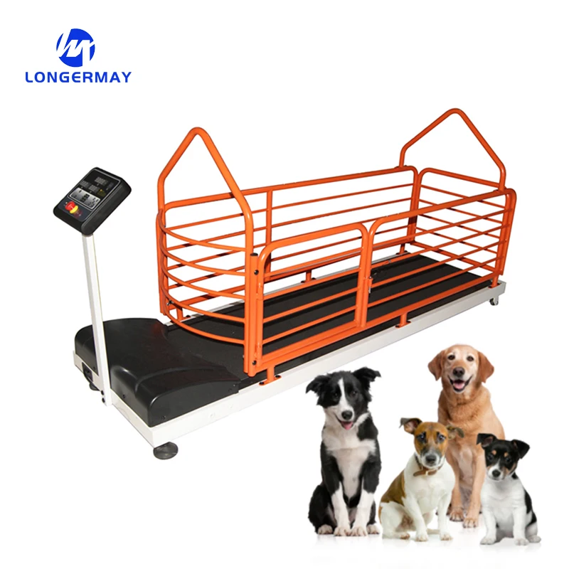 Treadmill Dog Dog Treadmill For Sale Dog Treadmill Pet