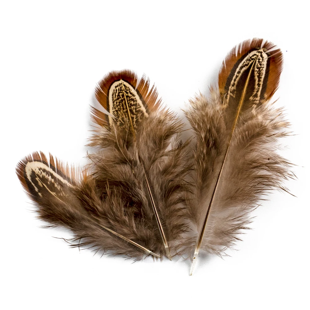 3-8cm Natural Small Guinea Fowl Feathers for Diy Jewelry Making Decoration Pheasant Feather Handicraft Accessories Wholesale