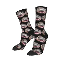 Nuovi calzini da uomo maschili Harajuku Cute Moo Deng Circle Sock poliestere Sport calzini da donna primavera estate autunno inverno