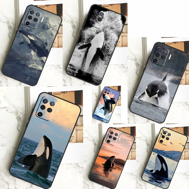 Killer Whale Orca F… - image