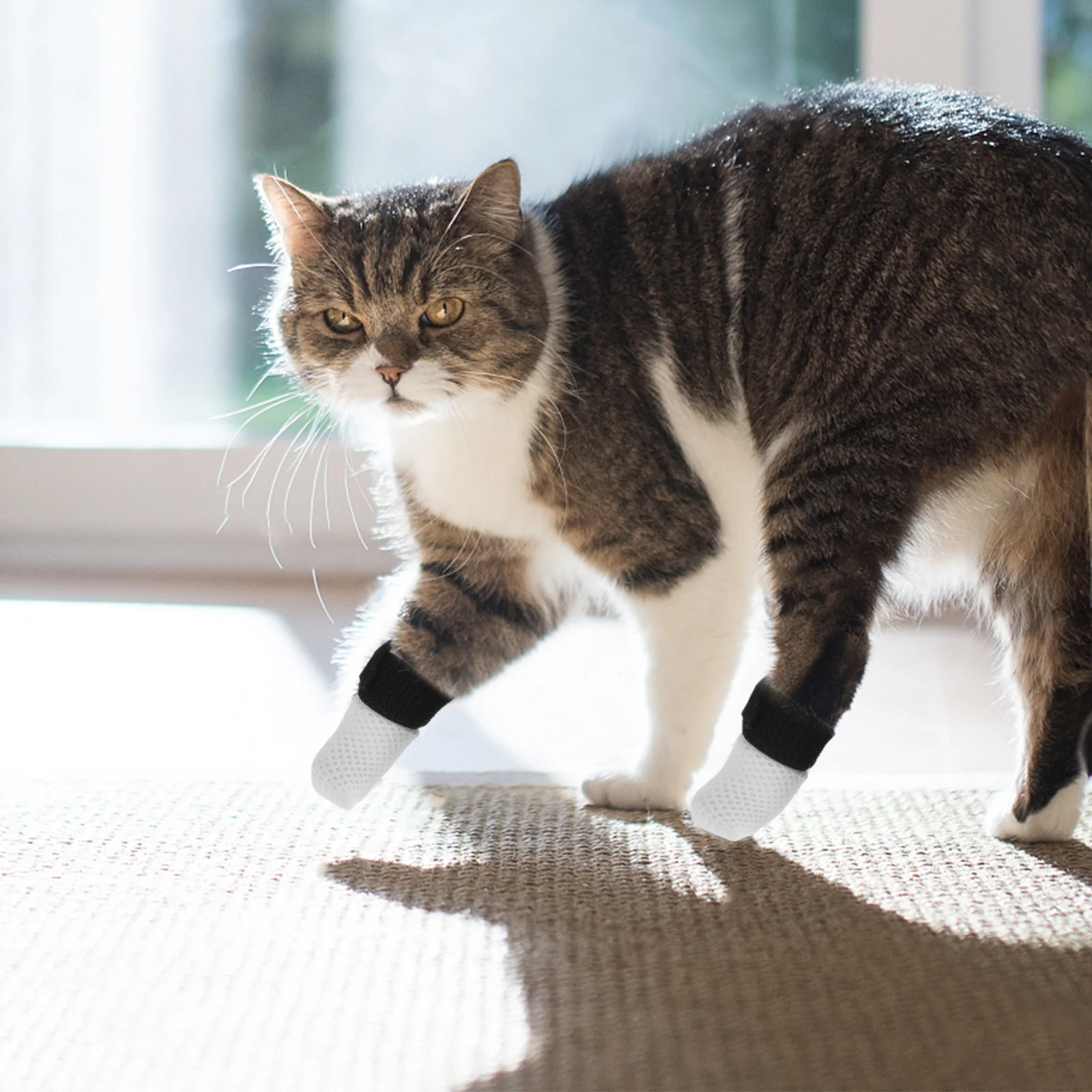 

4pcs Anti-Scratch Cat Shoes Adjustable Touch Fastener Washable Polyester Booties For Grooming Bathing Medication Feeding Cat Paw