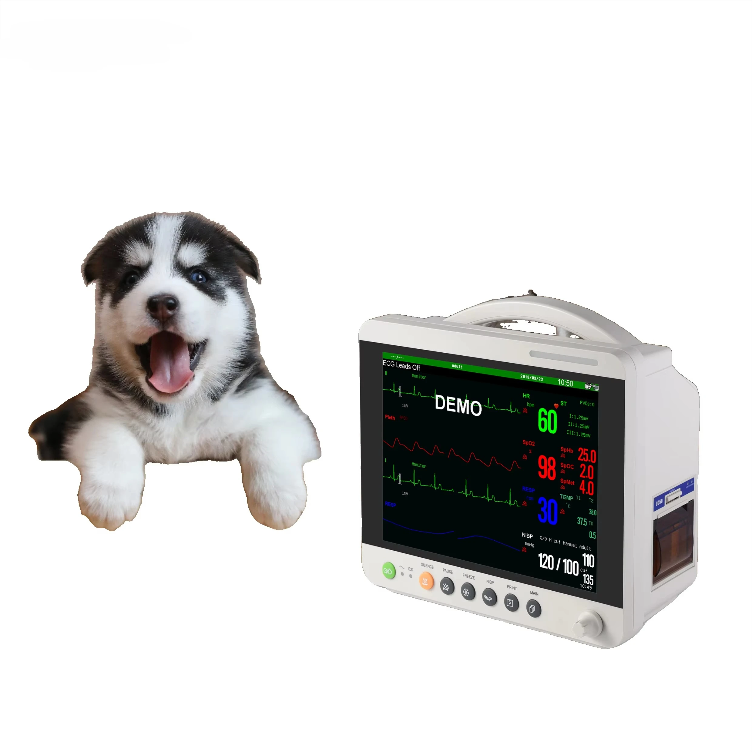 Portable Veterinary Multi-Parameter Professional  Detection Equipment for Livestock and Pet Clinical Health Monitoring
