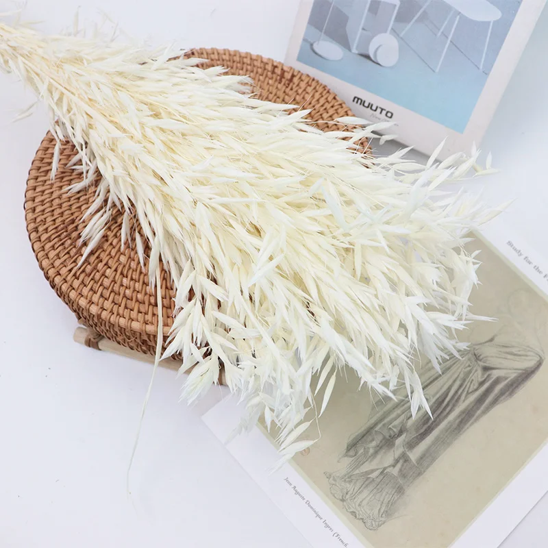 Dried White Oat Flowers Bouquet, Natural Bleached, Ava Sativa Herb, Wedding Arrangement, Boho Home Decoration, 17 '', 40 Pcs