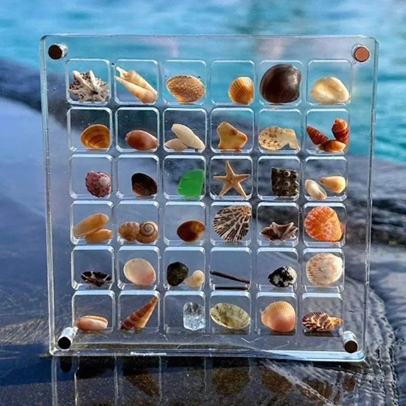 Acrylic Mini Display Box Marine Specimen Collect Conch And Shell Starfish Storage Transparent Box Jewelry Accessories Gift
