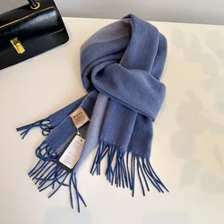 Classic 100% Australian Wool Solid Cashmere Warm Scarf Pashmina Winter Double Side Shawl Wraps Bufanda with Tassel Blanket