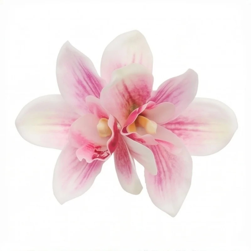 Thumbnail 3 - #25 Best Barrettes to Buy In 2026