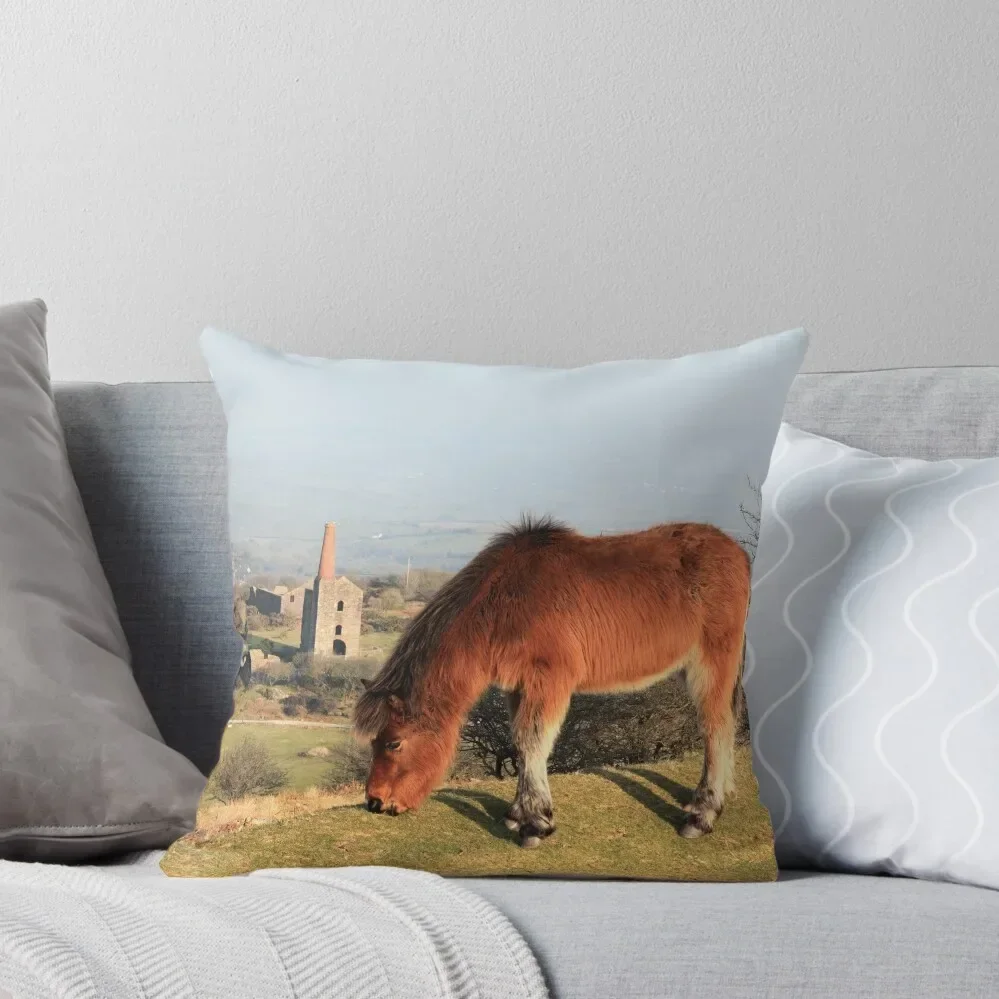 Pony on Bodmin Moor Throw Pillow pillow cover christmas autumn decoration Christmas Covers pillow