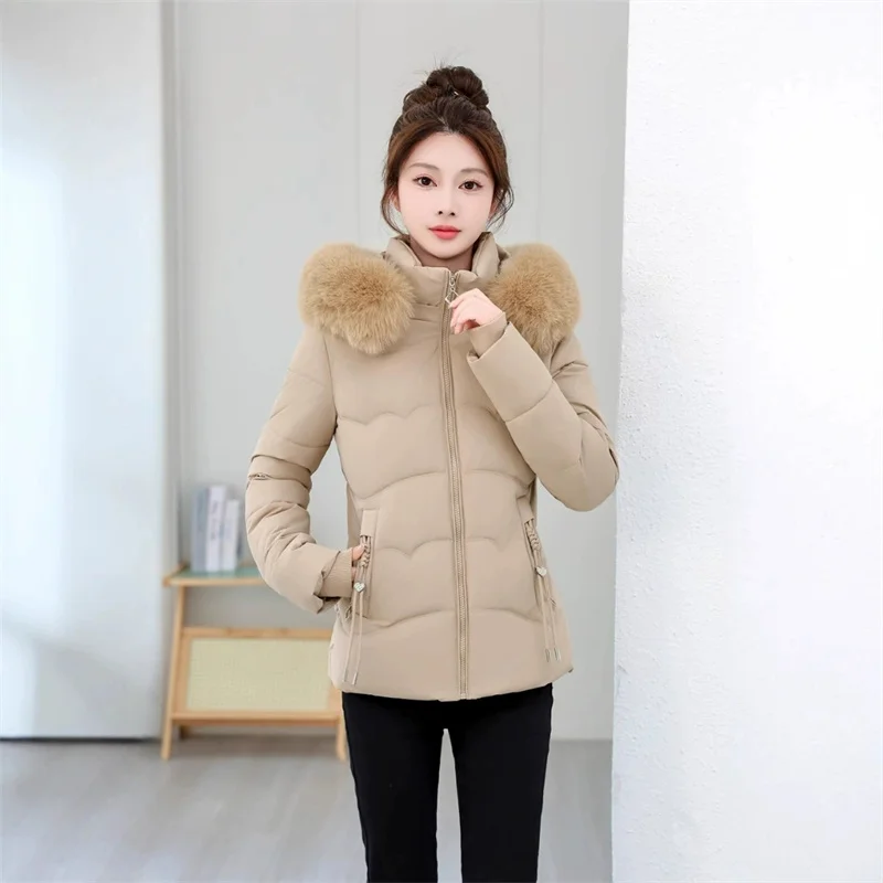 Giacca corta in cotone con cappuccio autunno inverno Cappotti Parka da donna Capispalla caldo antivento Giacca in cotone con collo in pelliccia imbottito tinta unita