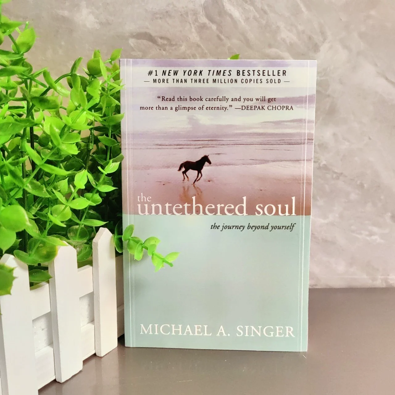 Die ungebundene Seele von Michael A. Sängerin The Journey Beyond Yourself Novel # 1 New York Times Bestseller Taschenbuch