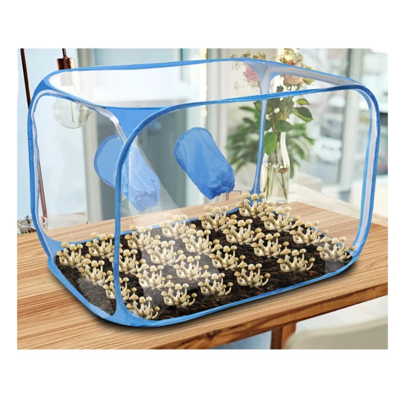 صديقة للبيئة بسهولة تجميعها 79X51X51cm صناديق الهواء لا تزال صندوق القفازات مجموعة معدات نمو الفطر المختبرية