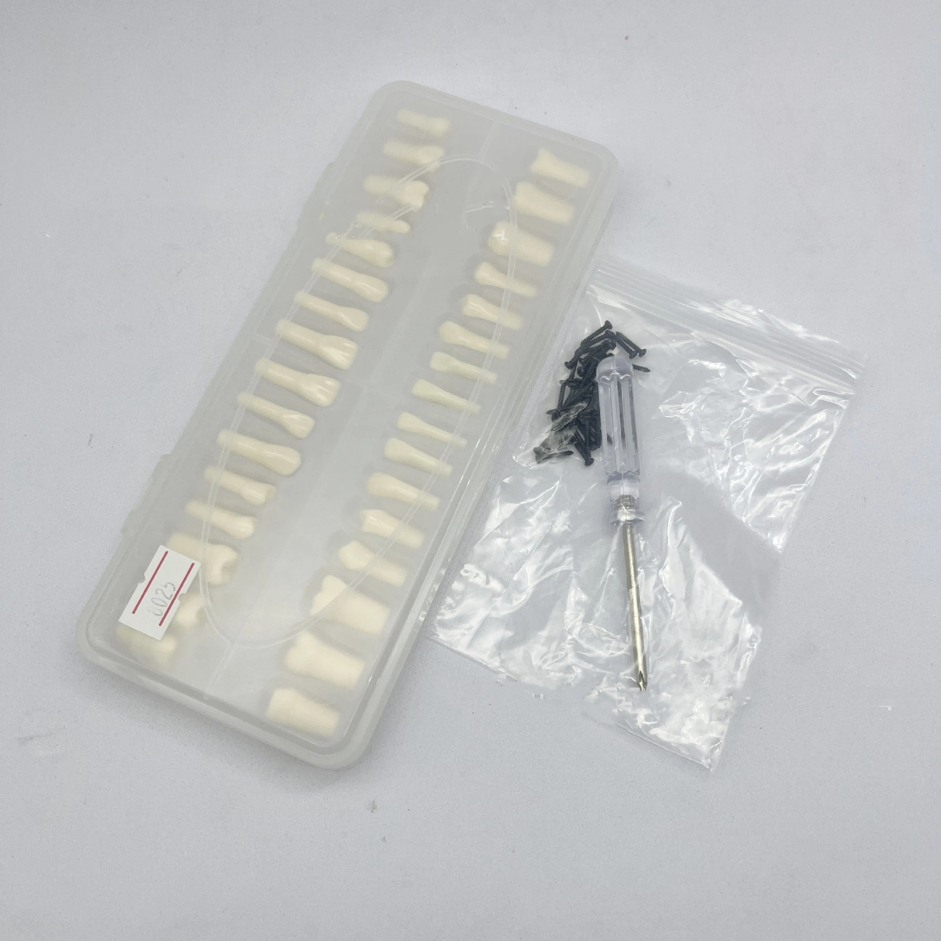 

32Pcs Dental Replacement Spare Teeth Model Screw-in Simulation Teeth Denture for Dentist Practice Teaching Study