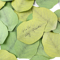 50 Sheets Leaf shape Sticky Note Pads cute Self-Adhesive Memo Notepad kawaii School Office Supplies Stationery