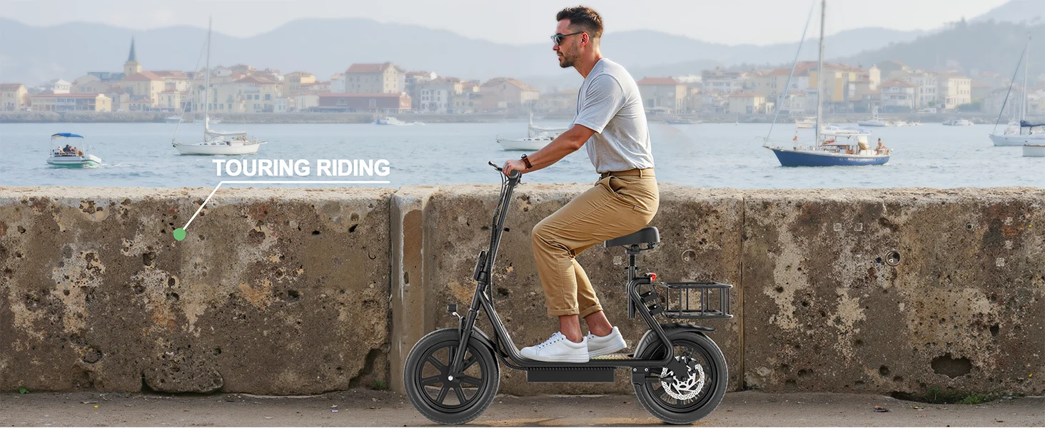 Complete electric bike view