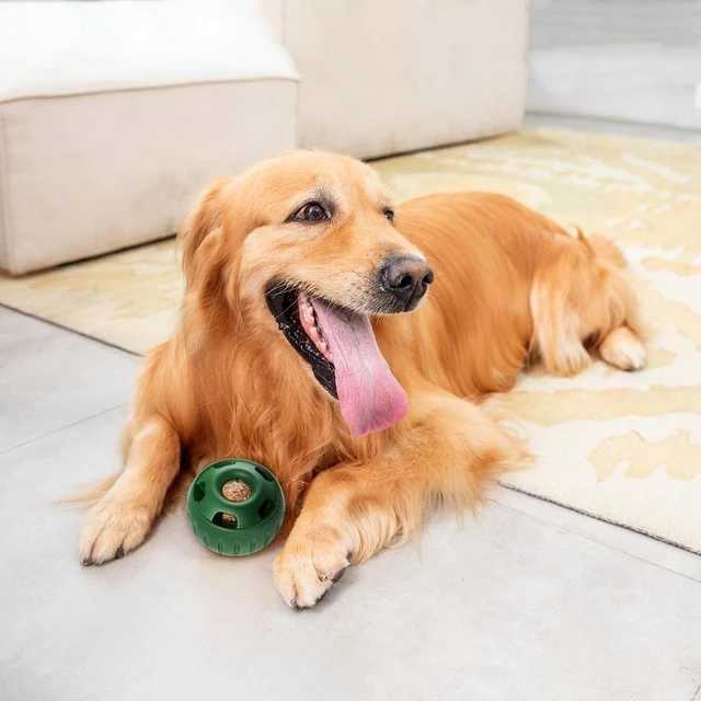 Natural puppy chew toys best sale
