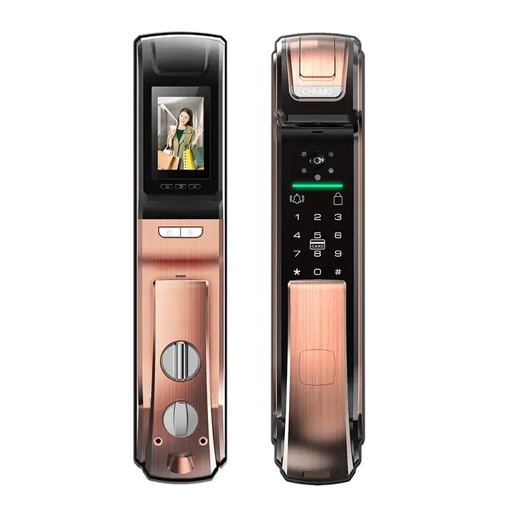 German Brand OEM ODM Fingerprint Lock Smart Password Doorbell Smart Locks China Keyless Door Locks