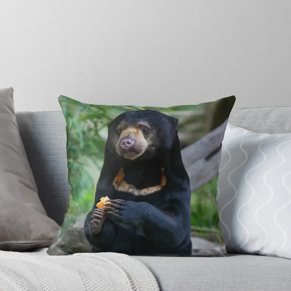 Malayan Sun Bear Contemplating Throw Throw Pillow Christmas Covers For Cushions Pillow Cases Decorative pillow