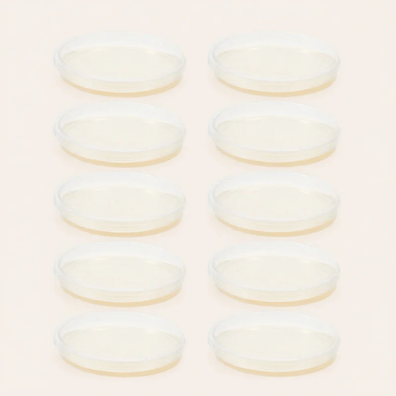 Предварительно подержанные тарелки с агаром