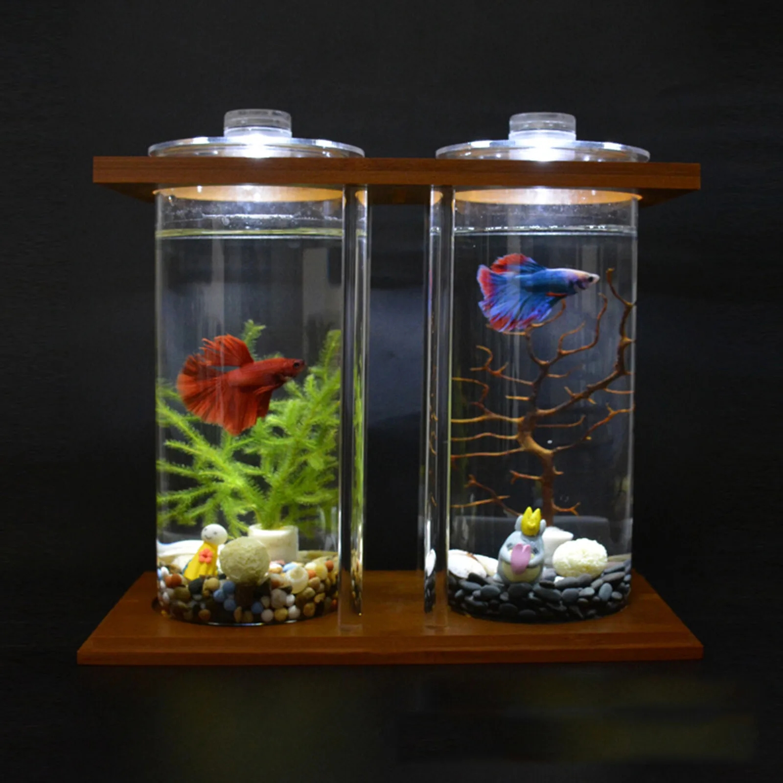 

Glass Betta Fish Tank Bamboo Base Mini Aquarium Fish Tank for Desktop