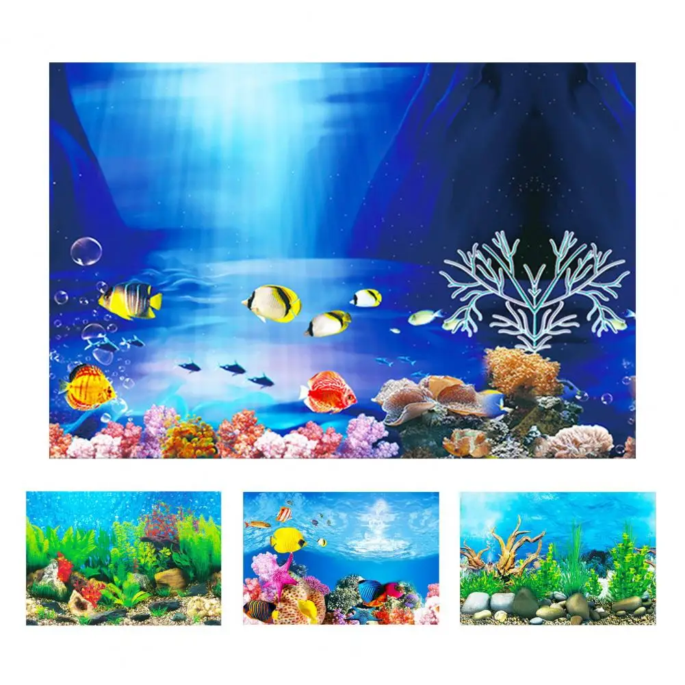 Fish Tank Background Vibrant 3d Aquarium Background Poster for Terrariums World Decoration with Print for Stunning