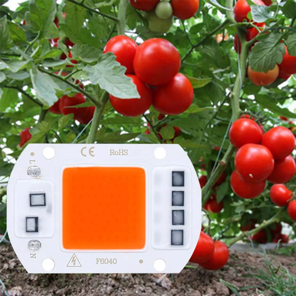 

AC220V 10W 20W 30W 50W LED Grow COB Chip Phyto Lamp Full Spectrum For Indoor Plant Seedling Grow and mini greenhouse for plants