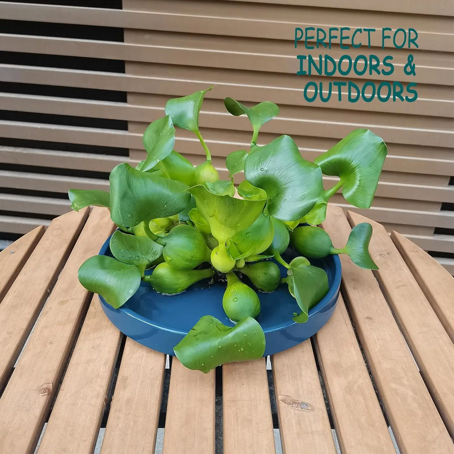 Ceramic Plant Saucer Pot Tray, Blue, 5/7/9/10/12 Inch, for Indoor Outdoor