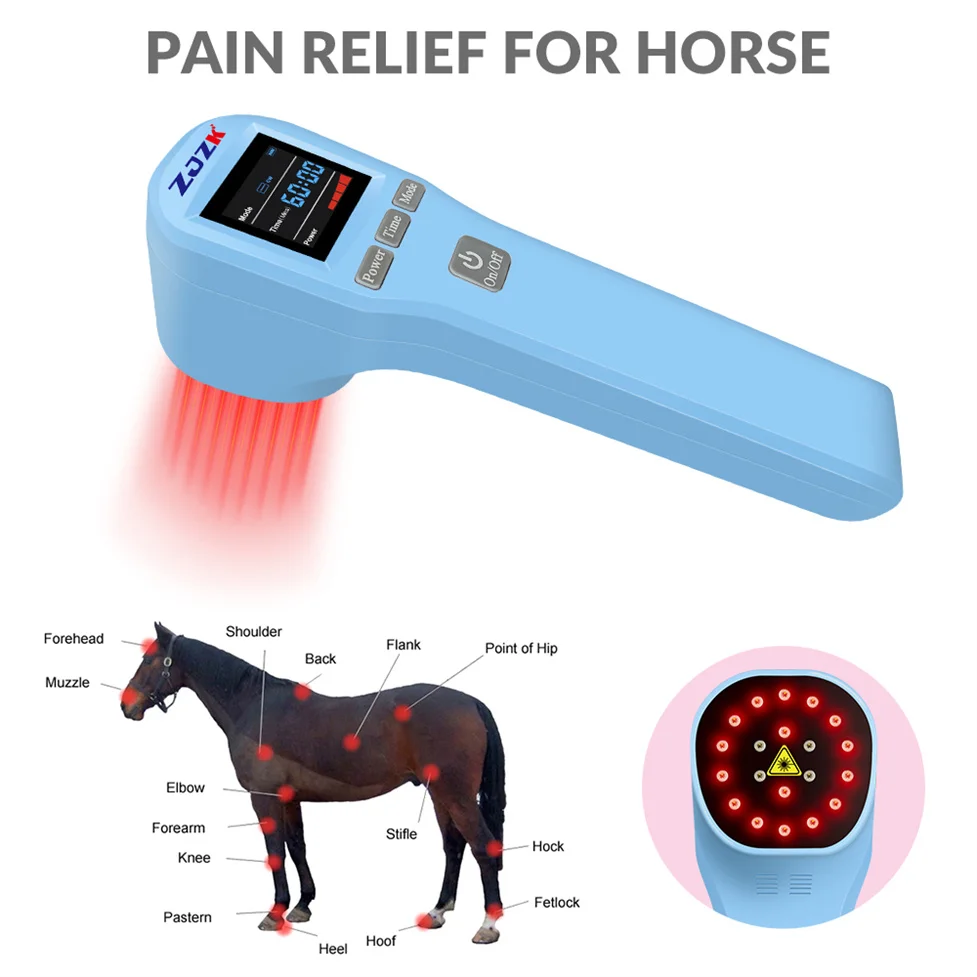 

ZJZK Near Infrared Laser Class 3B 808nmx4+650nmx16 Medical Pet Physiotherapy Physical Therapy Machine for Reduce Inflammation