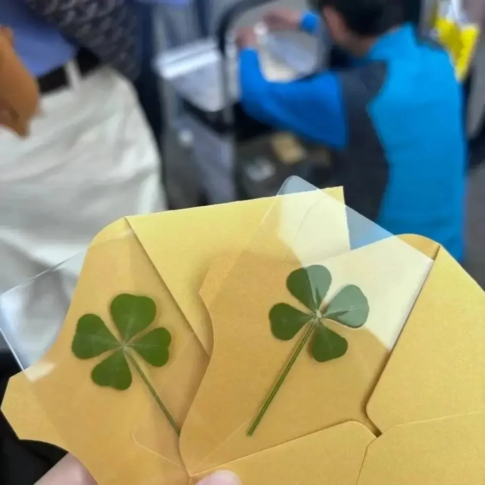 Cartões Postais Trevo da Sorte Transparentes com Tema de Grama, Cartões de Desejo Ideais para Marcadores de Livros e Decorações, Presentes Perfeitos para Feriados