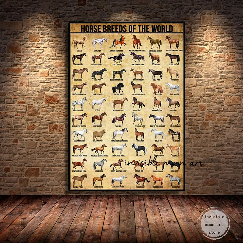 Vintage Horse Knowledge Horse Breeds of The World  Aniaml Art Poster Canvas Painting Wall Prints Picture Living Room Home Decor