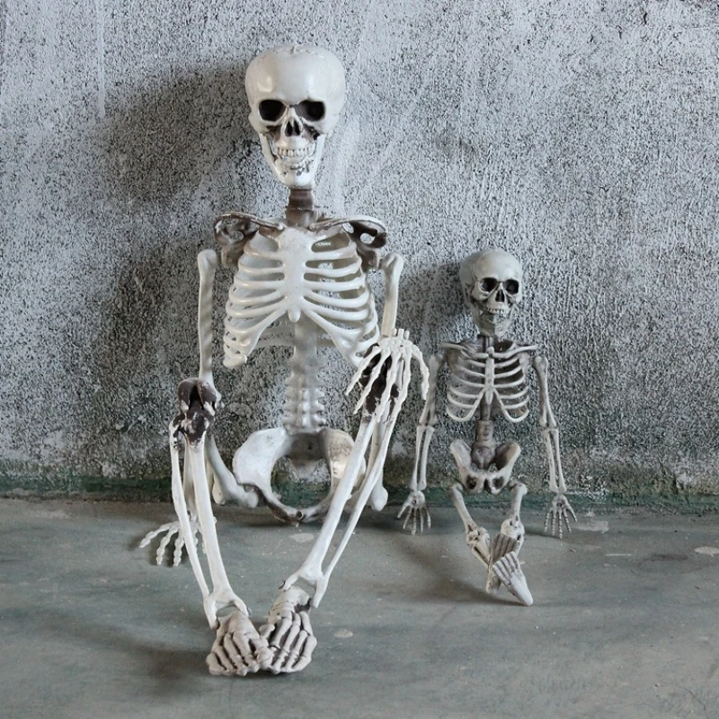 

1PC 90cm Halloween Skeleton Movable Posable Joints Realistic Human Bones Model Halloween Party Decor Haunted House Horror Prop